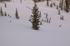 winter2011